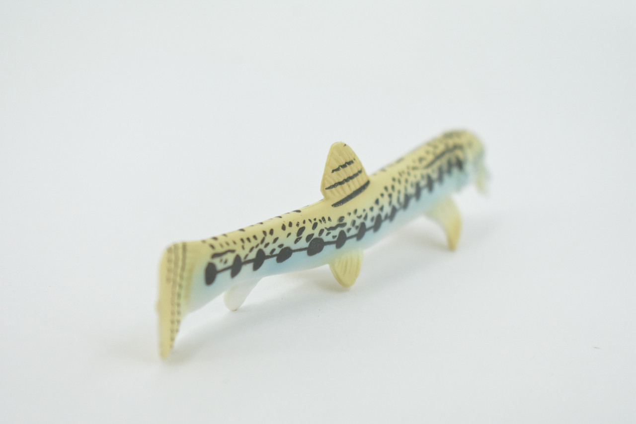 Fish, Spiny Loach, Spined, Spotted, Museum Quality, Hand Painted, Rubber, Realistic Figure, Model, Replica, Toy, Kids, Educational, Gift,   4 1/2"   CH544 BB159