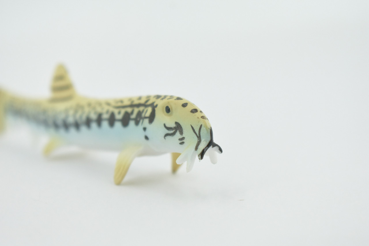 Fish, Spiny Loach, Spined, Spotted, Museum Quality, Hand Painted, Rubber, Realistic Figure, Model, Replica, Toy, Kids, Educational, Gift,   4 1/2"   CH544 BB159