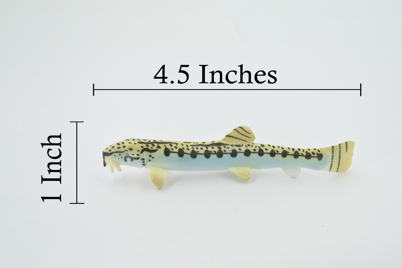 Fish, Spiny Loach, Spined, Spotted, Museum Quality, Hand Painted, Rubber, Realistic Figure, Model, Replica, Toy, Kids, Educational, Gift,   4 1/2"   CH544 BB159