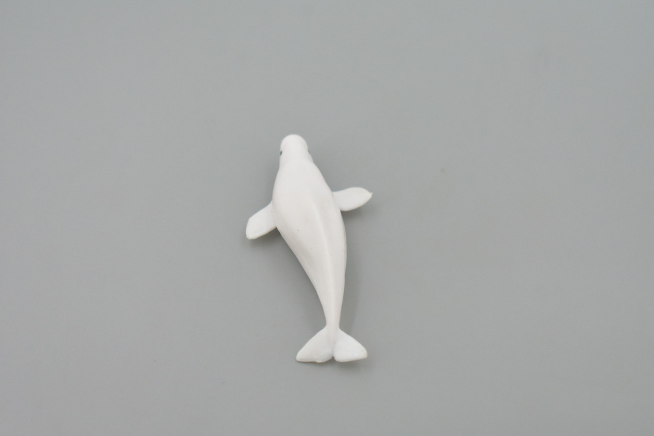 Whale, Beluga, White Whale, High Quality, Rubber, Hand Painted, Realistic, Toy Figure, Model, Replica, Kids, Educational, Gift,    3"      CH545 BB159 