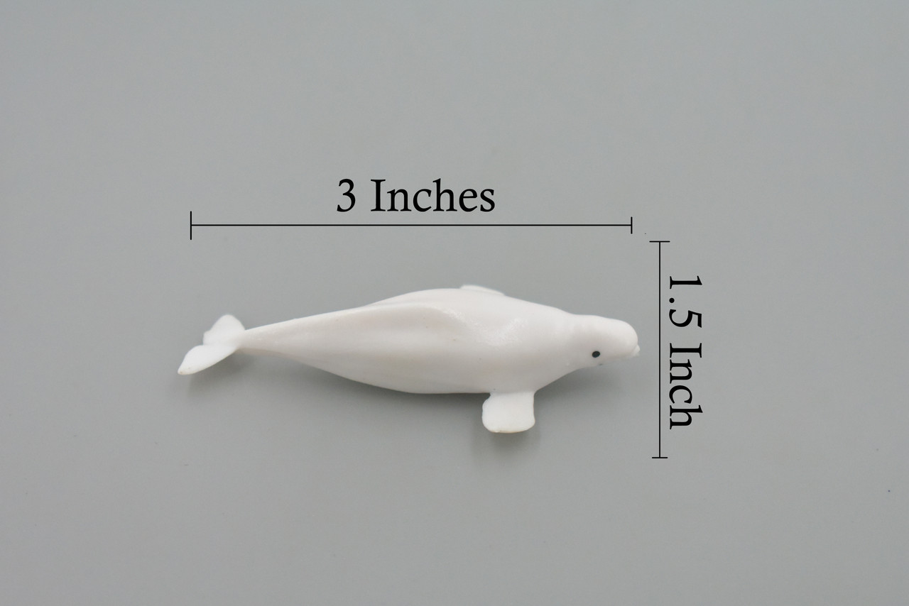 Whale, Beluga, White Whale, High Quality, Rubber, Hand Painted, Realistic, Toy Figure, Model, Replica, Kids, Educational, Gift,    3"      CH545 BB159 