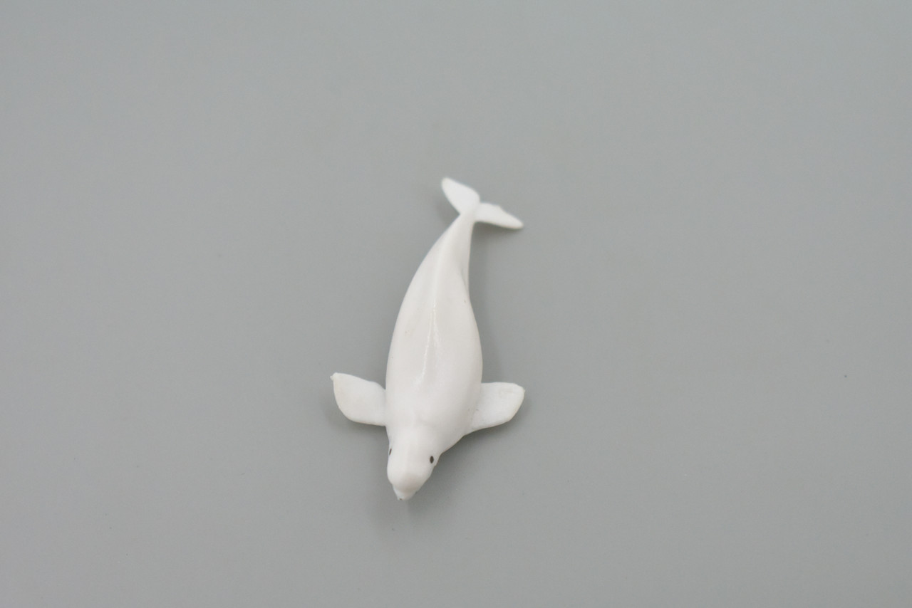 Whale, Beluga, White Whale, High Quality, Rubber, Hand Painted, Realistic, Toy Figure, Model, Replica, Kids, Educational, Gift,    3"      CH545 BB159 