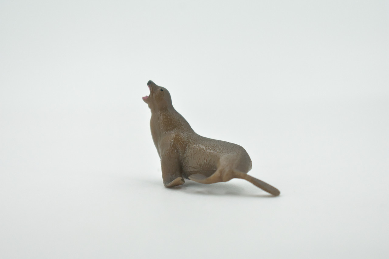 Sea Lion, Pinnipeds, High Quality, Hand Painted, Rubber Seal Family, Realistic, Toy Figure, Model, Replica, Kids, Educational, Gift,       2"       CH546 BB159