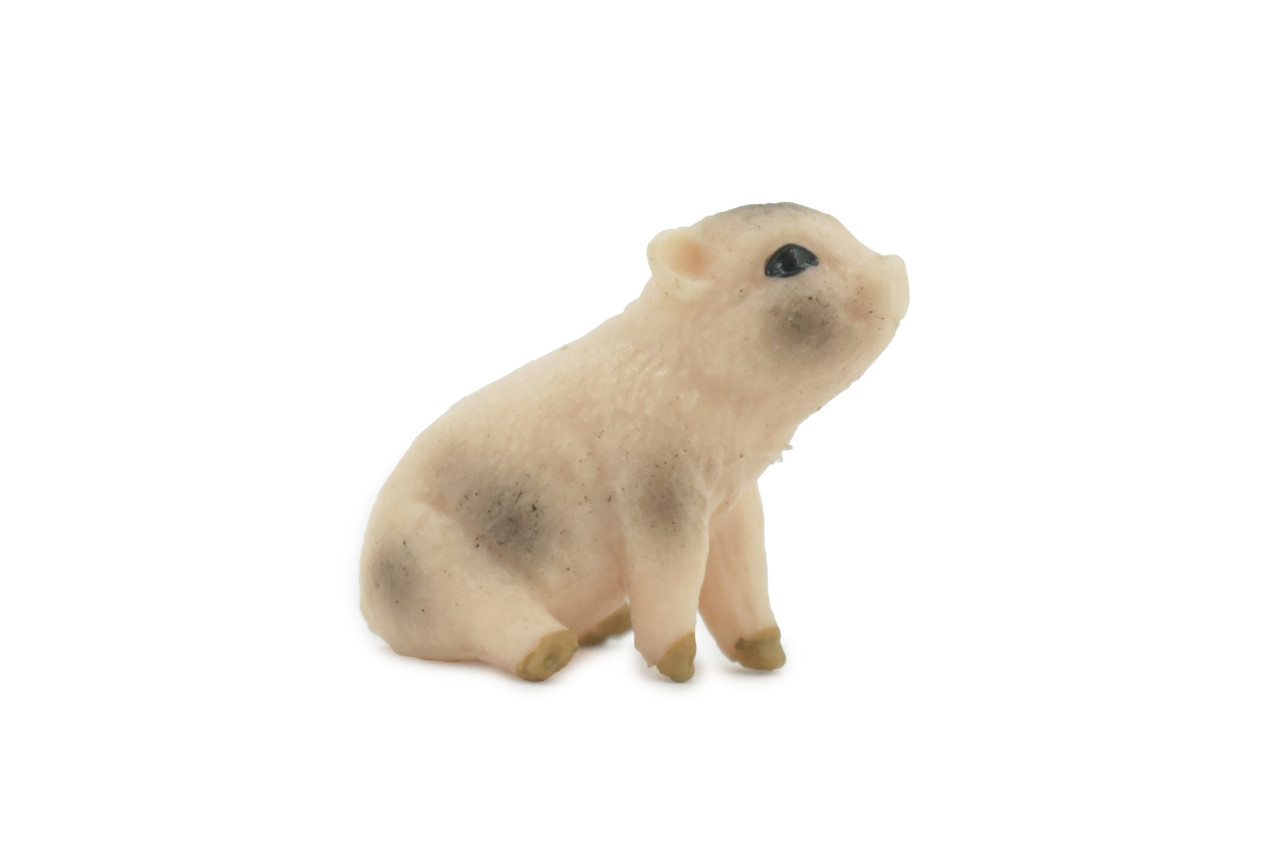 Pig, Piglet, Baby, High Quality, Hand Painted, Rubber,  Swine Family, Realistic, Toy Figure, Model, Replica, Kids, Educational, Gift,       1 1/2"       CH550 BB159