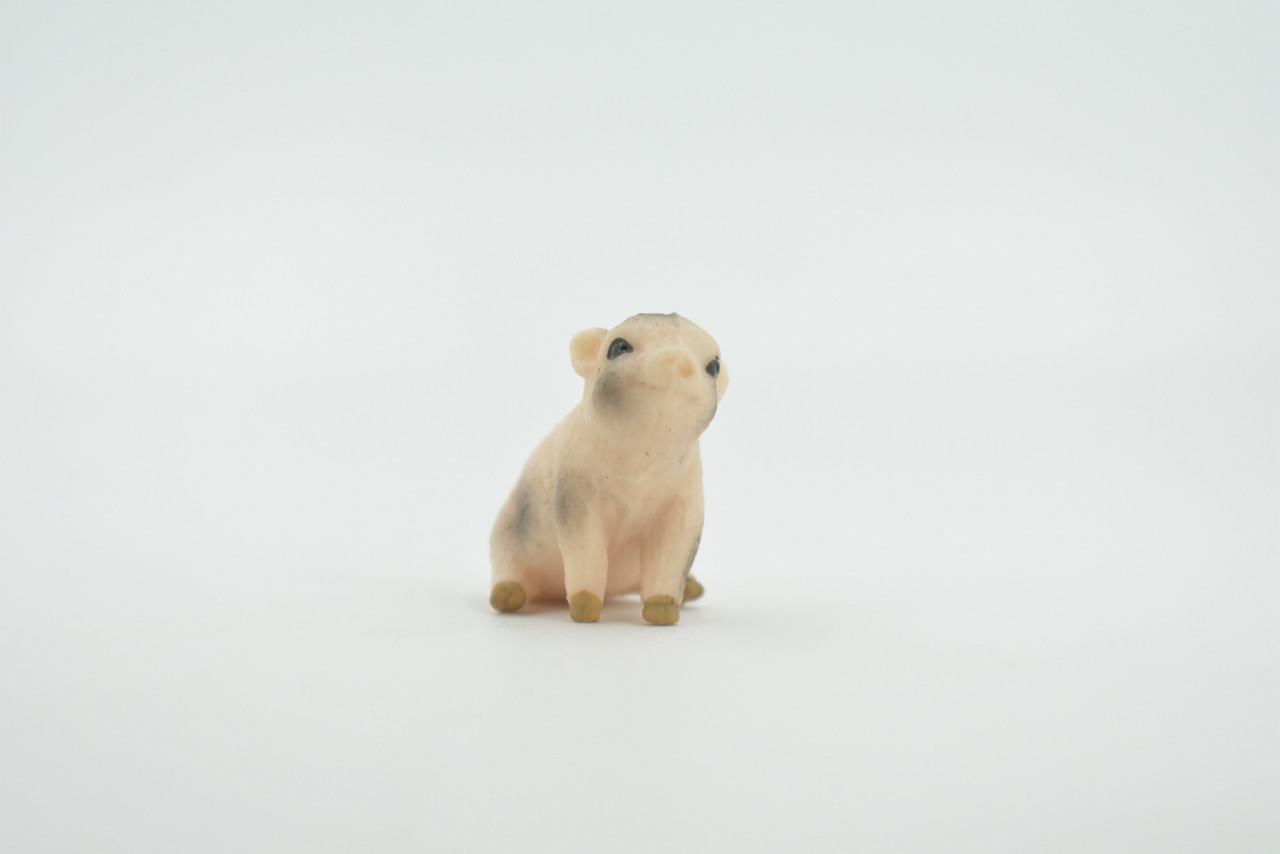 Pig, Piglet, Baby, High Quality, Hand Painted, Rubber,  Swine Family, Realistic, Toy Figure, Model, Replica, Kids, Educational, Gift,       1 1/2"       CH550 BB159