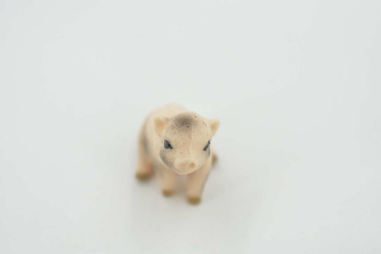 Pig, Piglet, Baby, High Quality, Hand Painted, Rubber,  Swine Family, Realistic, Toy Figure, Model, Replica, Kids, Educational, Gift,       1 1/2"       CH550 BB159