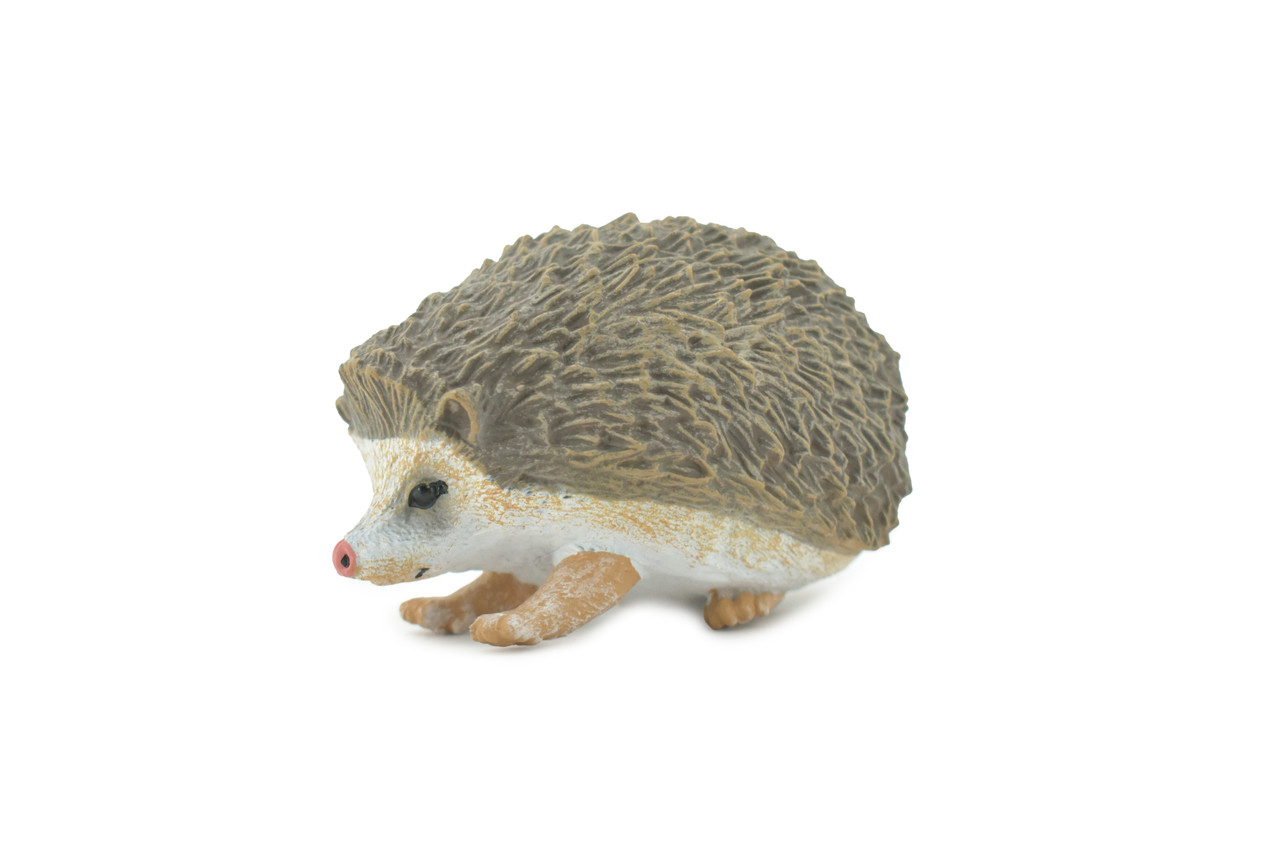 Hedgehog, Spiny Hedge Hog, Museum Quality, Hand Painted, Rubber, Animal, Realistic, Figure, Model, Replica, Toy, Kids, Educational, Gift,      4"      CH552 BB160