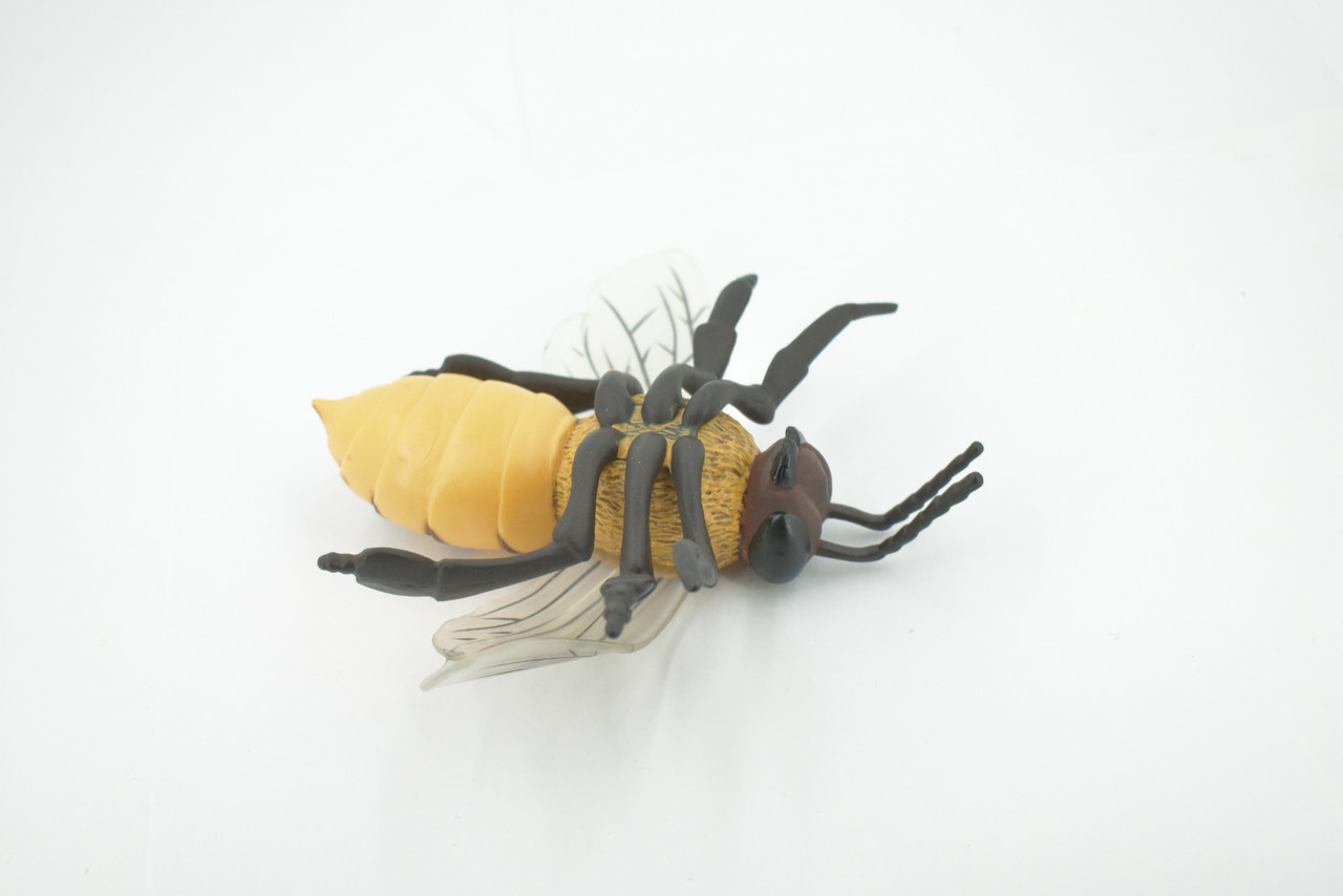 Bee, Bumblebee, Yellow Jacket, Museum Quality, Hand Painted, Rubber, Insect, Realistic, Figure, Model, Replica, Toy, Kids, Educational, Gift,     6"      CH553 BB160
