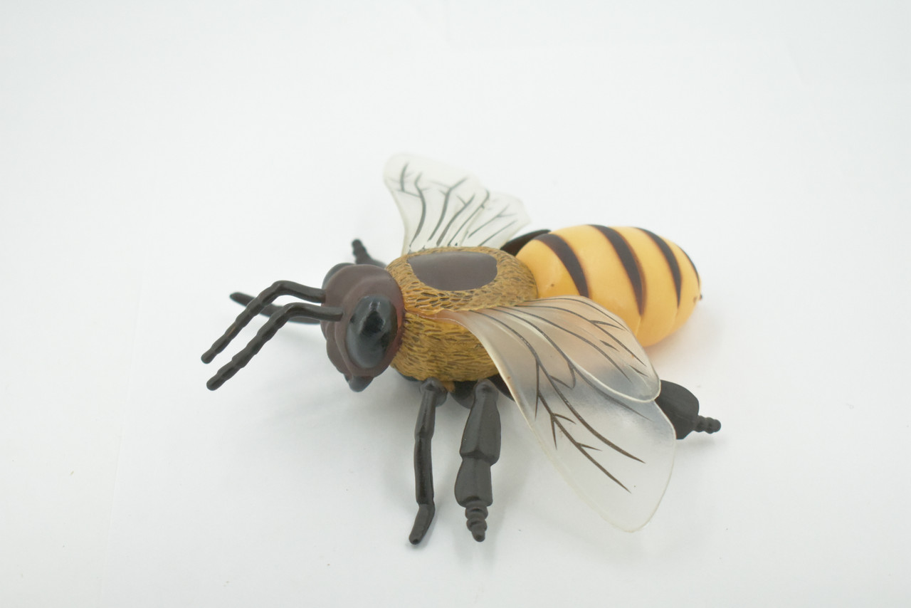 Bee, Bumblebee, Yellow Jacket, Museum Quality, Hand Painted, Rubber, Insect, Realistic, Figure, Model, Replica, Toy, Kids, Educational, Gift,     6"      CH553 BB160