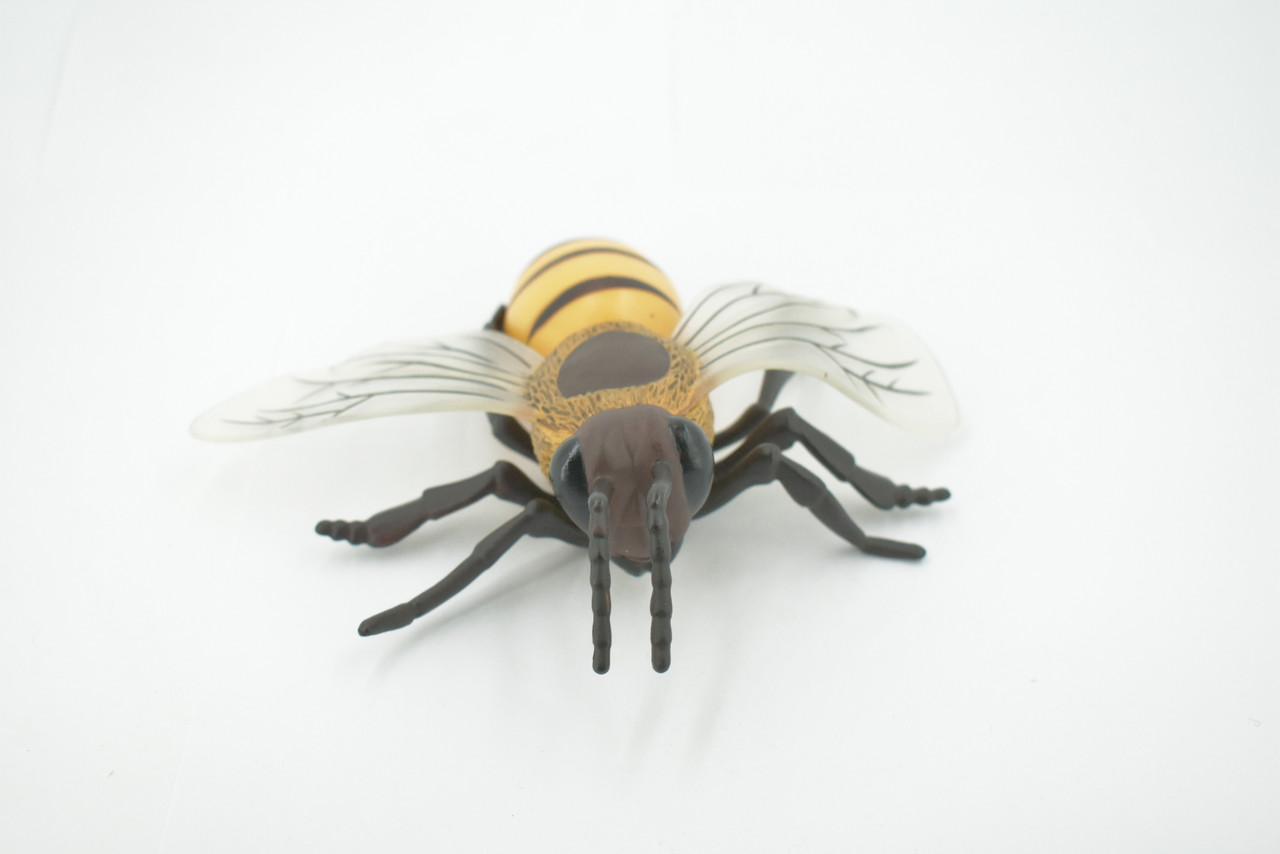 Bee, Bumblebee, Yellow Jacket, Museum Quality, Hand Painted, Rubber, Insect, Realistic, Figure, Model, Replica, Toy, Kids, Educational, Gift,     6"      CH553 BB160