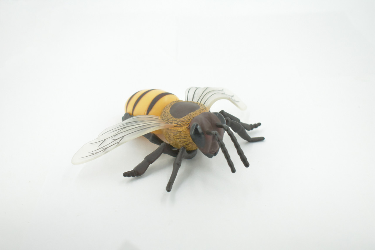 Bee, Bumblebee, Yellow Jacket, Museum Quality, Hand Painted, Rubber, Insect, Realistic, Figure, Model, Replica, Toy, Kids, Educational, Gift,     6"      CH553 BB160