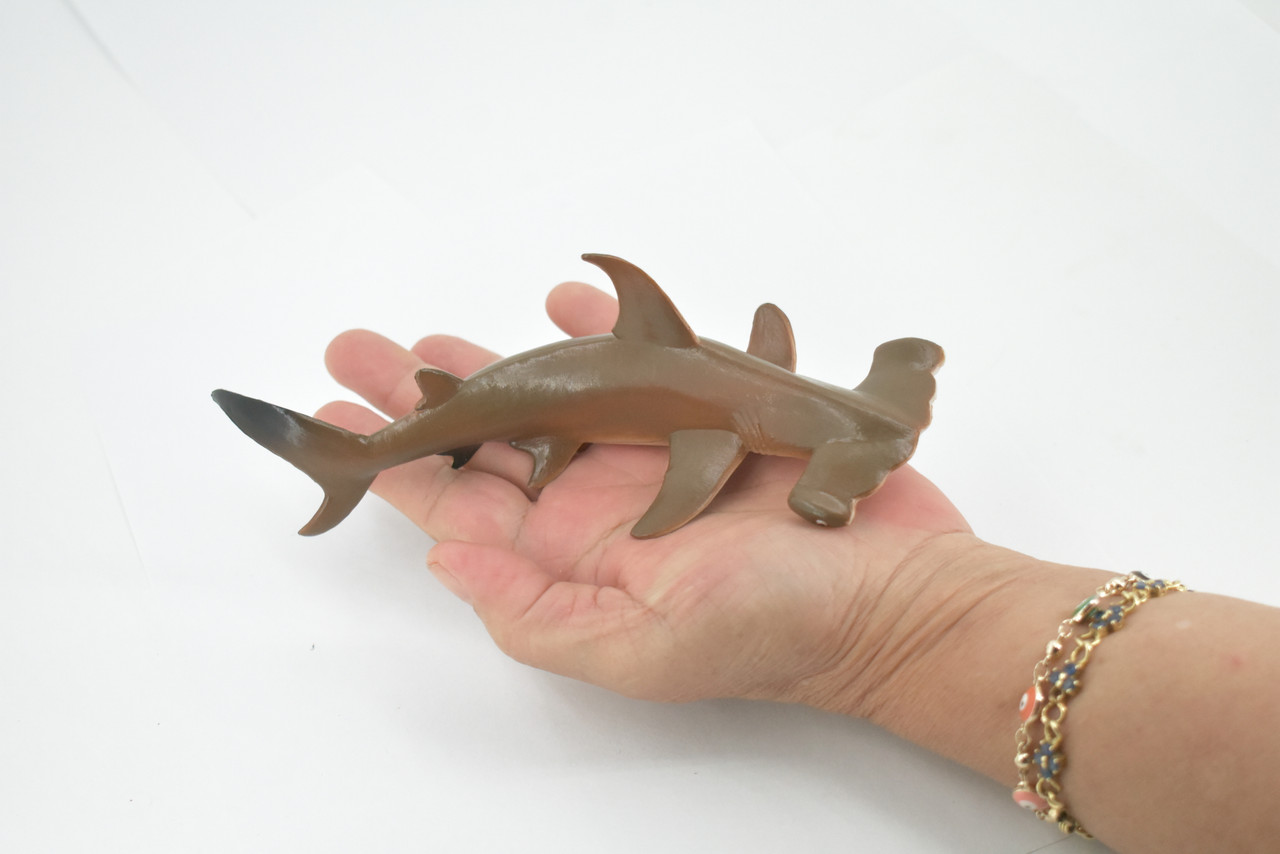 Hammerhead Shark, Museum Quality, Educational, Rubber Fish, Hand Painted, Realistic Toy Figure, Diorama Model, Kids, Educational, Gift,    7 Inches.  