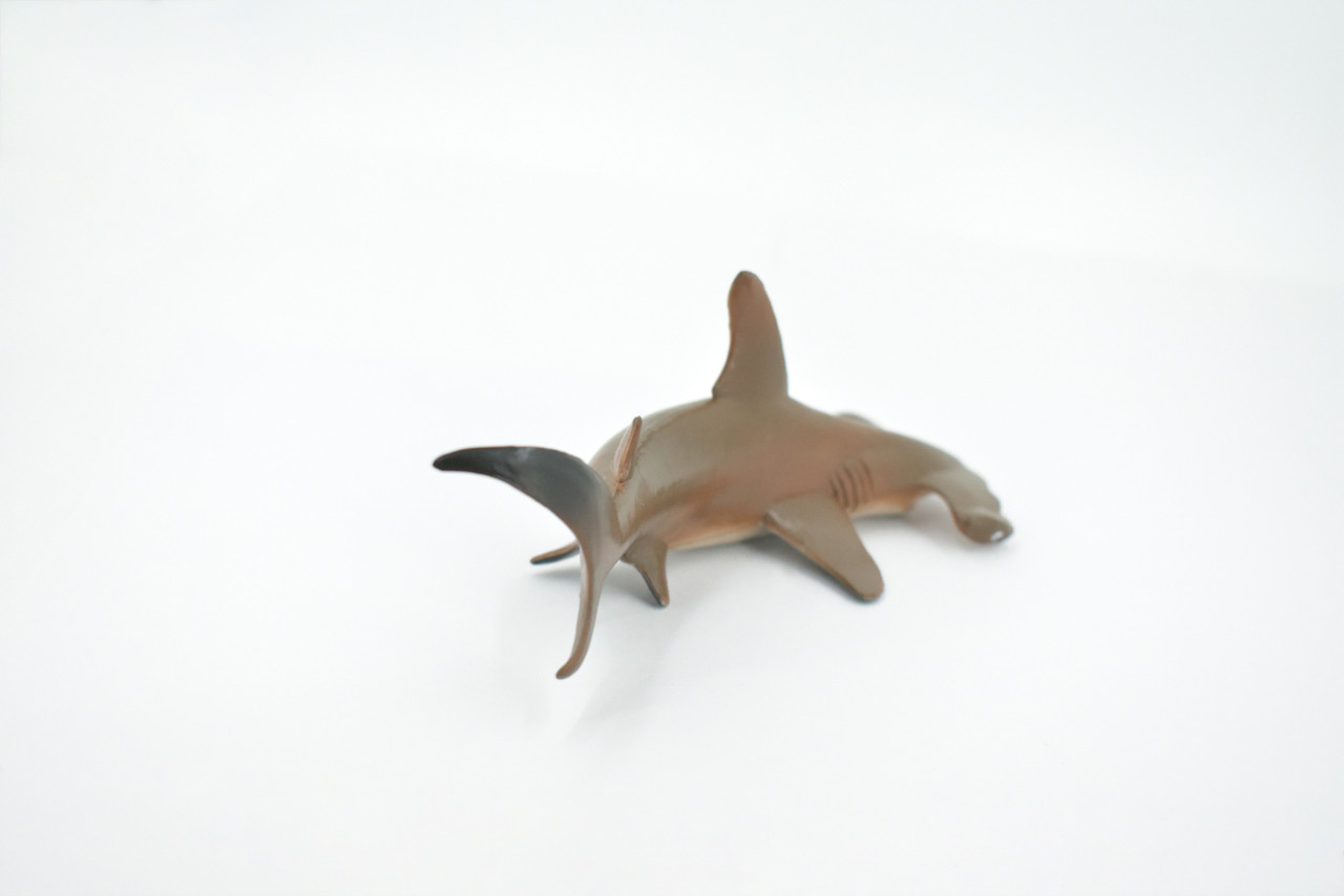 Shark, Hammerhead Shark, Museum Quality, Rubber Fish, Hand Painted, Realistic, Toy Figure, Model, Replica, Kids, Educational, Gift,      7"     CH399 BB141
