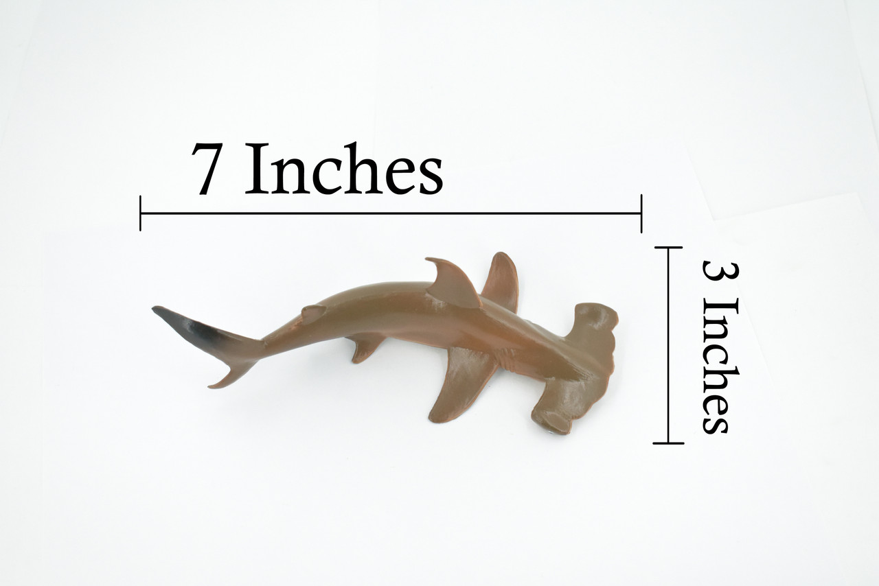 Hammerhead Shark, Museum Quality, Educational, Rubber Fish, Hand Painted, Realistic Toy Figure, Diorama Model, Kids, Educational, Gift,    7 Inches.  