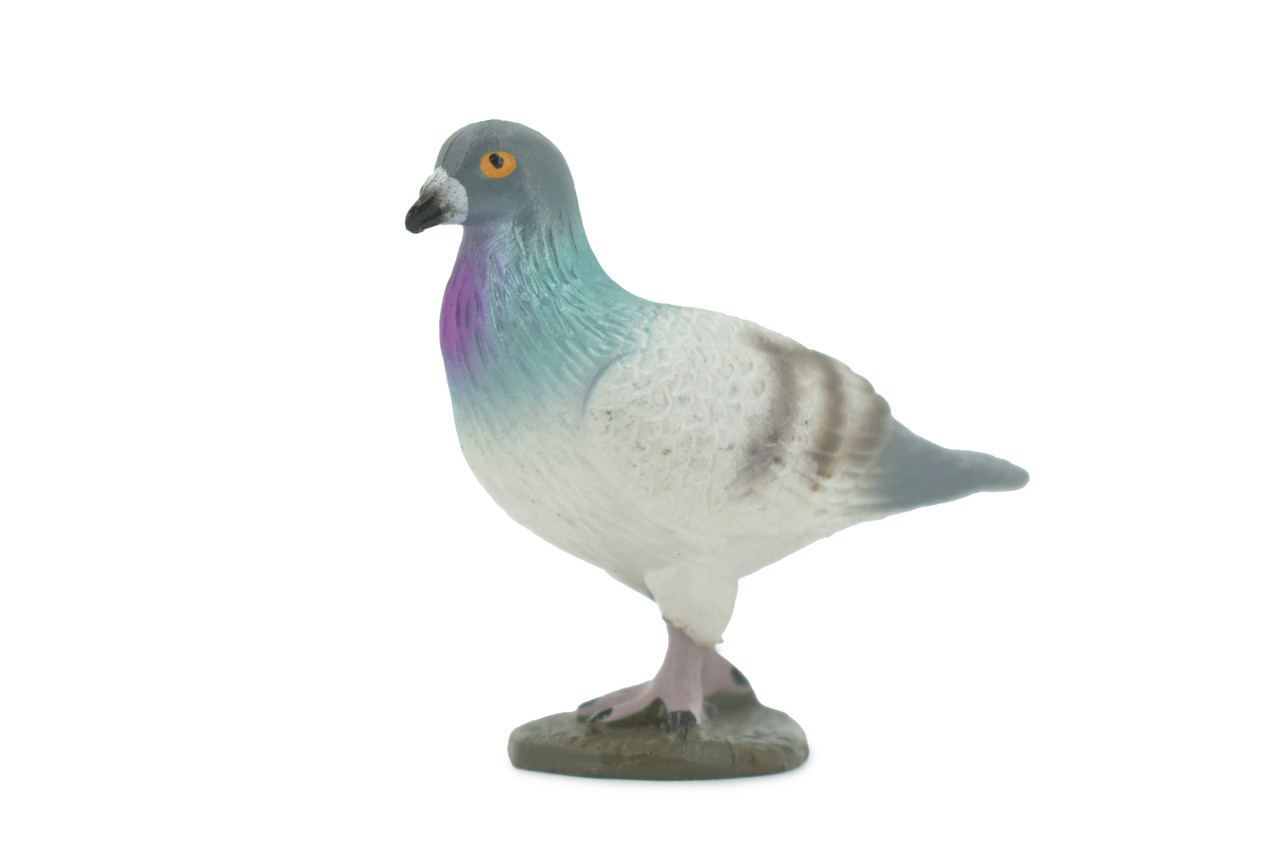 Pigeon, Rock Dove, Columba, Museum Quality, Hand Painted, Rubber, Bird, Realistic, Figure, Model, Replica, Toy, Kids, Educational, Gift,     2 1/2"      CH554 BB161