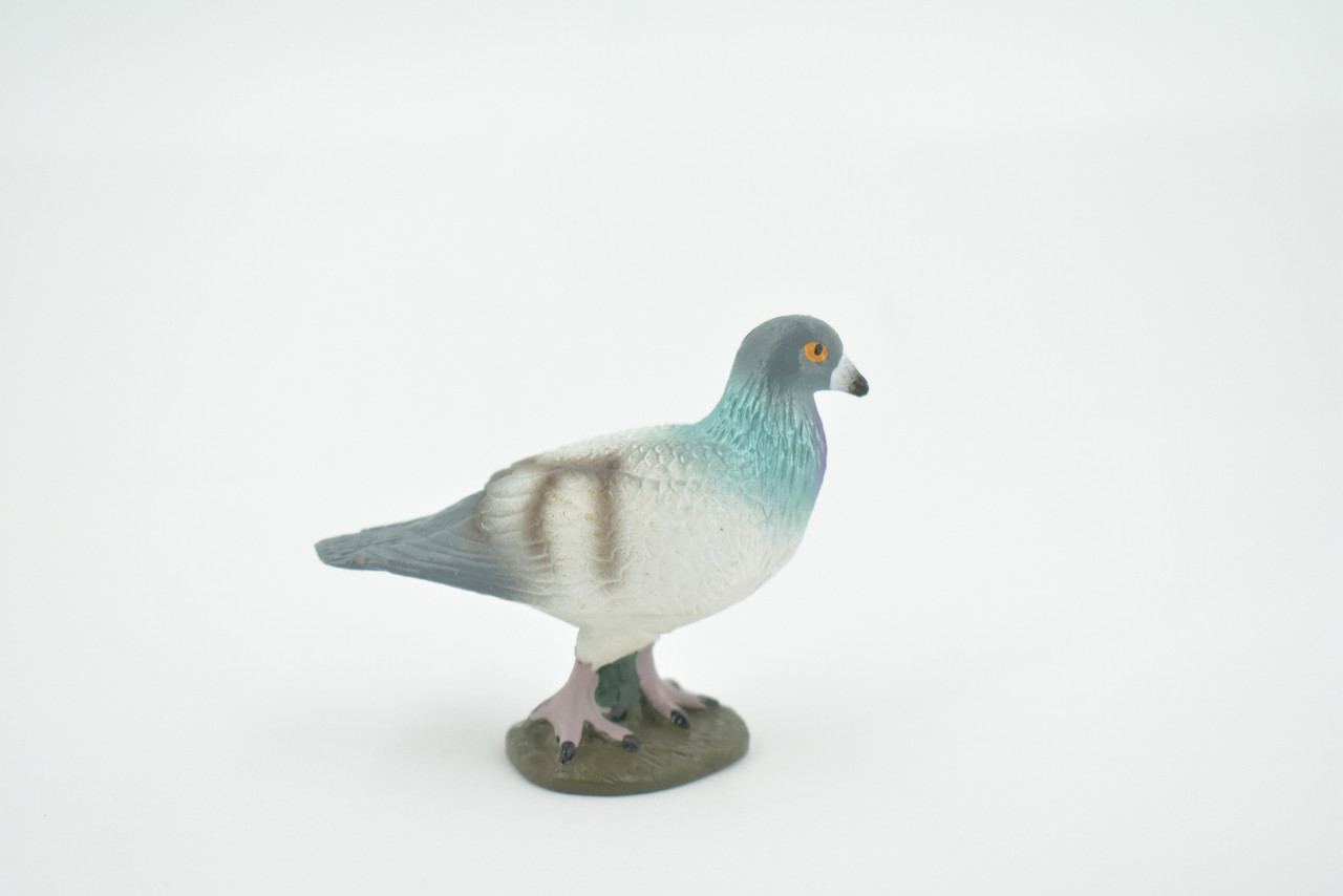 Pigeon, Rock Dove, Columba, Museum Quality, Hand Painted, Rubber, Bird, Realistic, Figure, Model, Replica, Toy, Kids, Educational, Gift,     2 1/2"      CH554 BB161