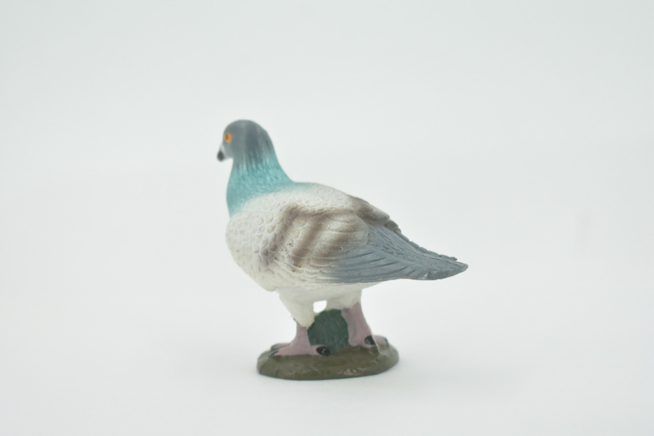 Pigeon, Rock Dove, Columba, Museum Quality, Hand Painted, Rubber, Bird, Realistic, Figure, Model, Replica, Toy, Kids, Educational, Gift,     2 1/2"      CH554 BB161