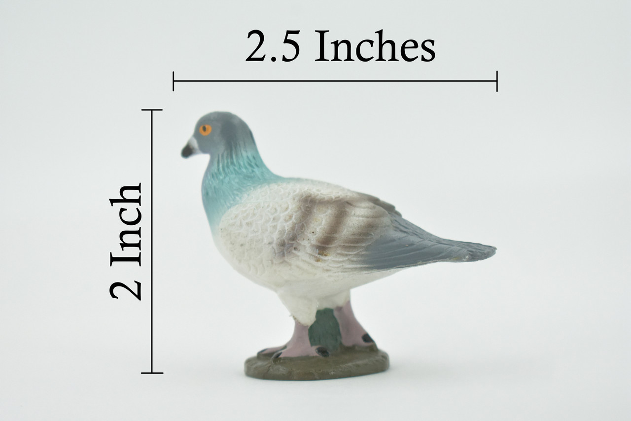 Pigeon, Rock Dove, Columba, Museum Quality, Hand Painted, Rubber, Bird, Realistic, Figure, Model, Replica, Toy, Kids, Educational, Gift,     2 1/2"      CH554 BB161