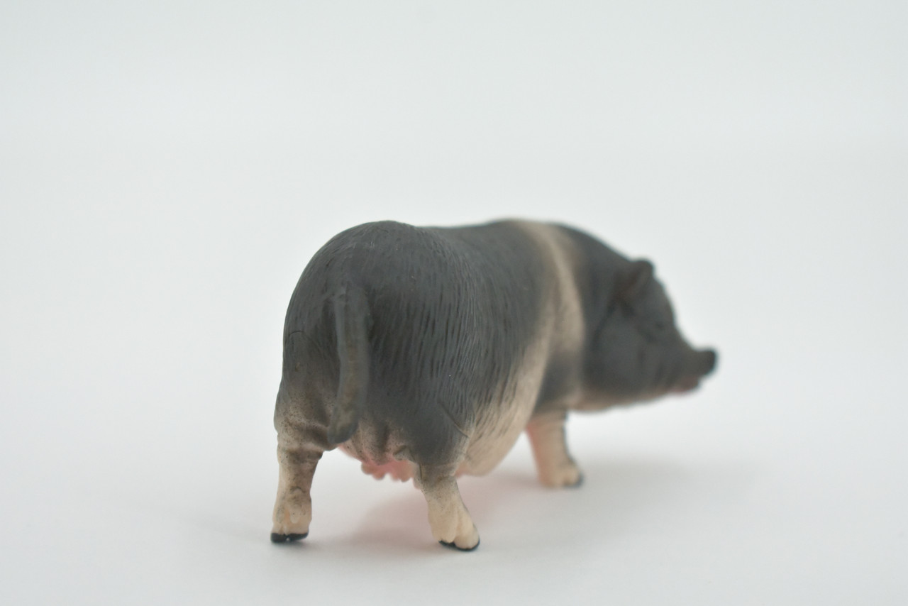 Pig, Vietnamese Pot-bellied, Swine, High Quality, Hand Painted, Rubber, Realistic, Toy Figure, Model, Replica, Kids, Educational, Gift,      3 1/2"       CH555 BB161