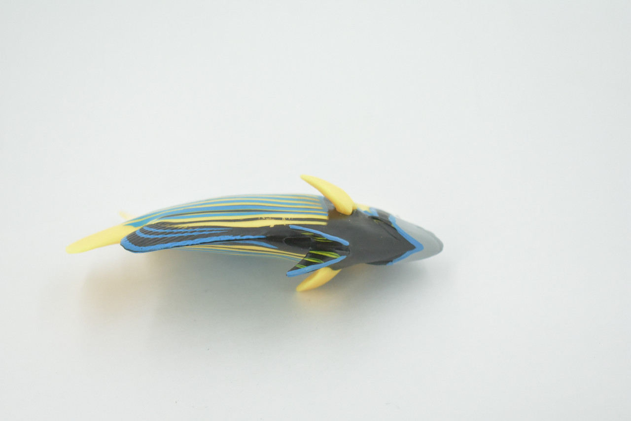 Fish, Emperor Anglefish, Museum Quality, Hand Painted, Rubber, Realistic Figure, Model, Replica, Toy, Kids, Educational, Gift,       4 1/2"     CH557 BB161