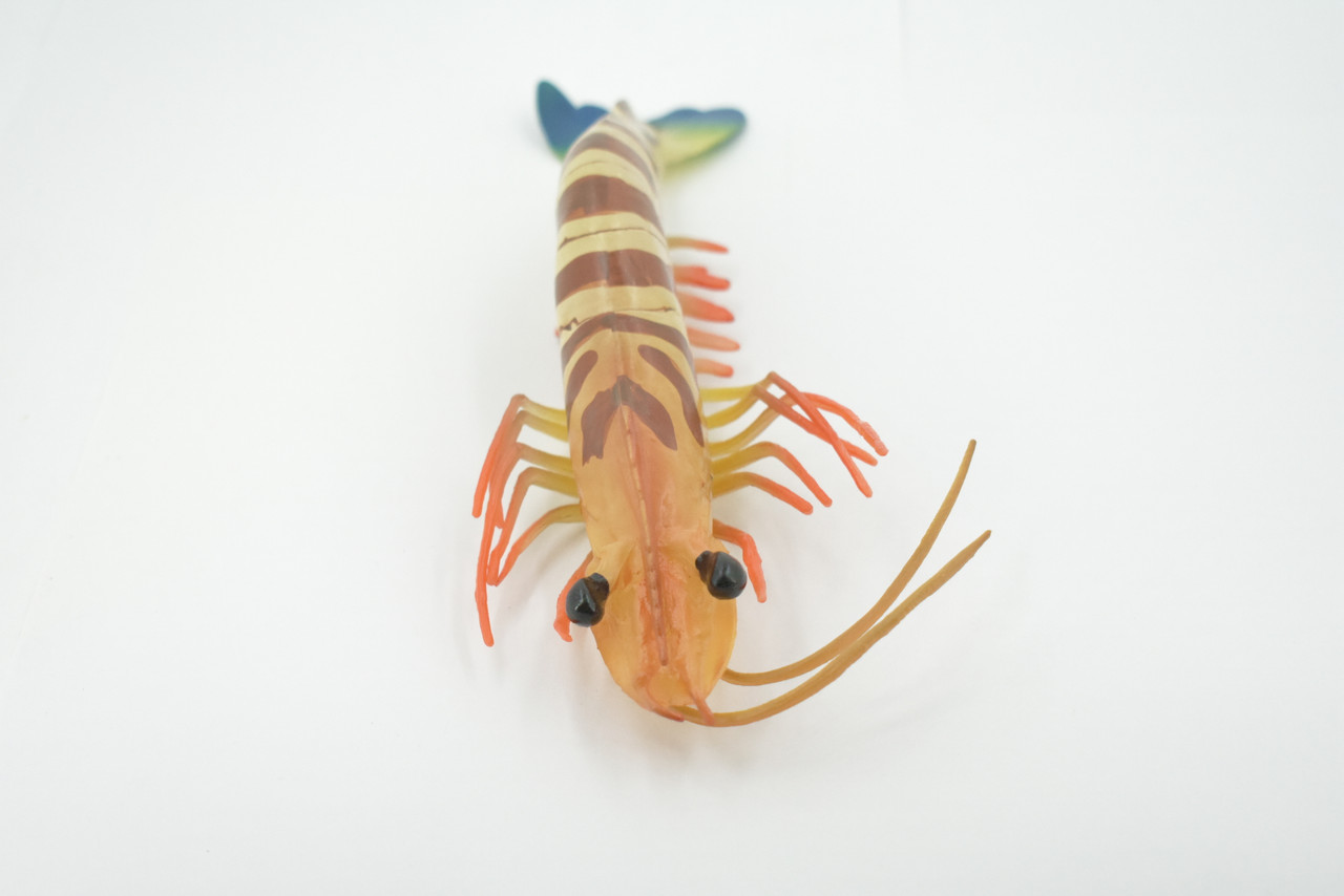 Shrimp, Prawn, Tiger Shrimp, Realistic Rubber Reproduction, Hand Painted  Figurines, 4 CH083 BB82