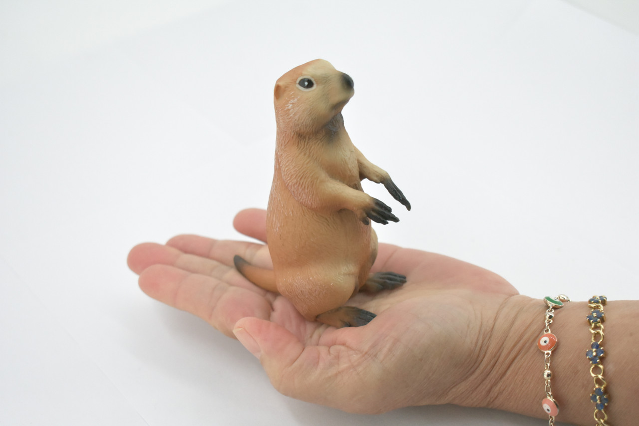 Marmot, Ground Squirrels, Marmota, Museum Quality, Hand Painted, Rubber Mammal, Realistic Toy Figure, Replica, Kids, Educational, Gift,     4 1/2"    CH559 BB161