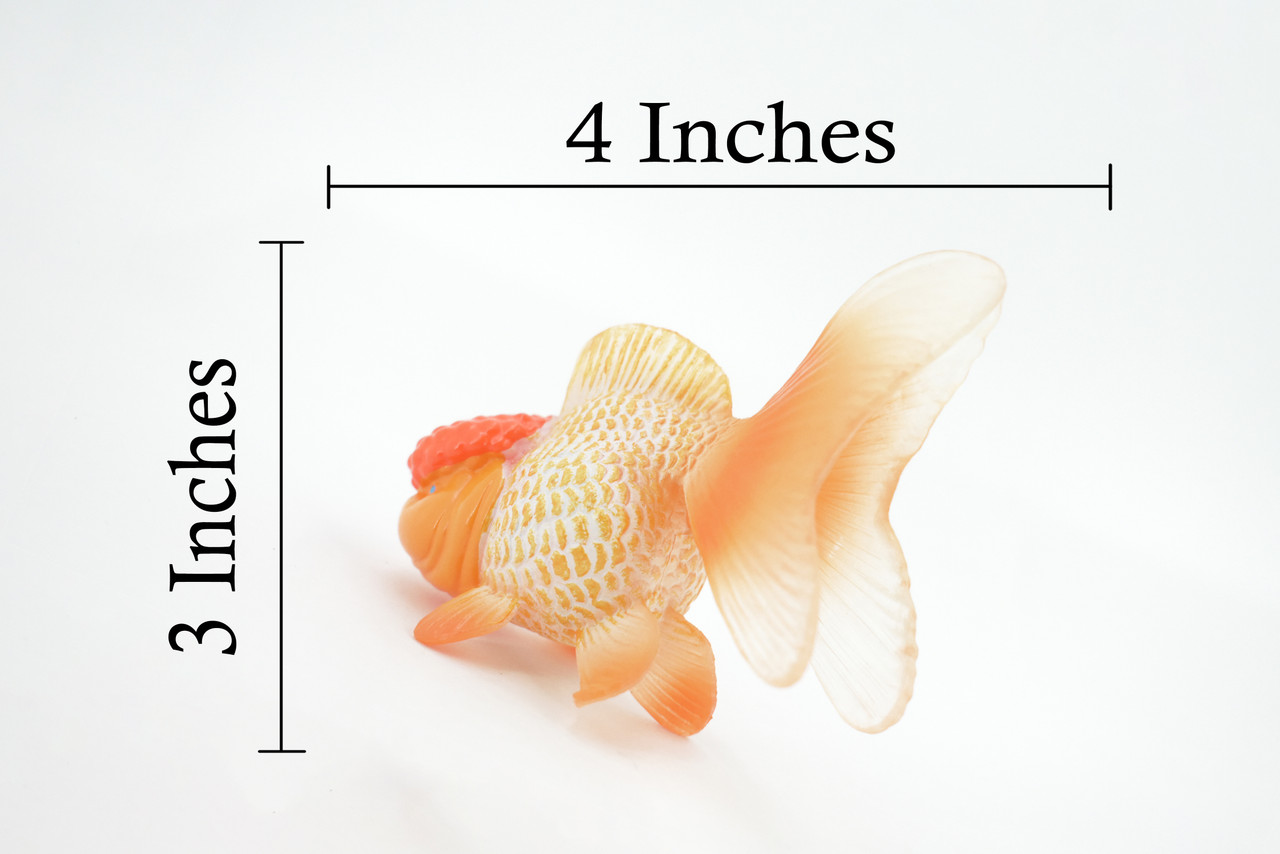 Fish, Oranda Goldfish, Redcap, Museum Quality, Hand Painted, Rubber, Realistic Figure, Model, Replica, Toy, Kids, Educational, Gift,      4"      CH561 BB162