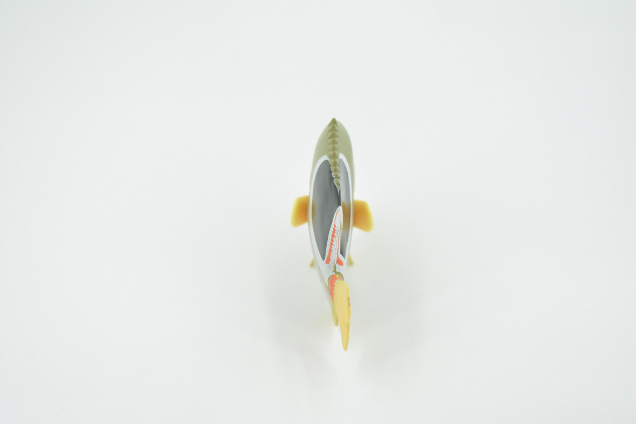 Fish, Saddleback Butterfly Fish, Museum Quality, Hand Painted, Rubber, Realistic Figure, Model, Replica, Toy, Kids, Educational, Gift,      3 1/2"     CH562 BB162