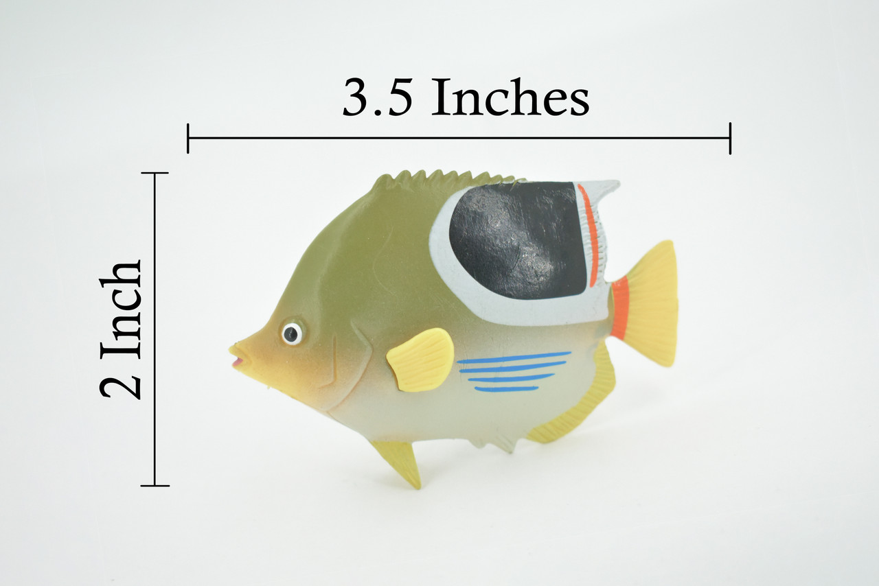 Fish, Saddleback Butterfly Fish, Museum Quality, Hand Painted, Rubber, Realistic Figure, Model, Replica, Toy, Kids, Educational, Gift,      3 1/2"     CH562 BB162