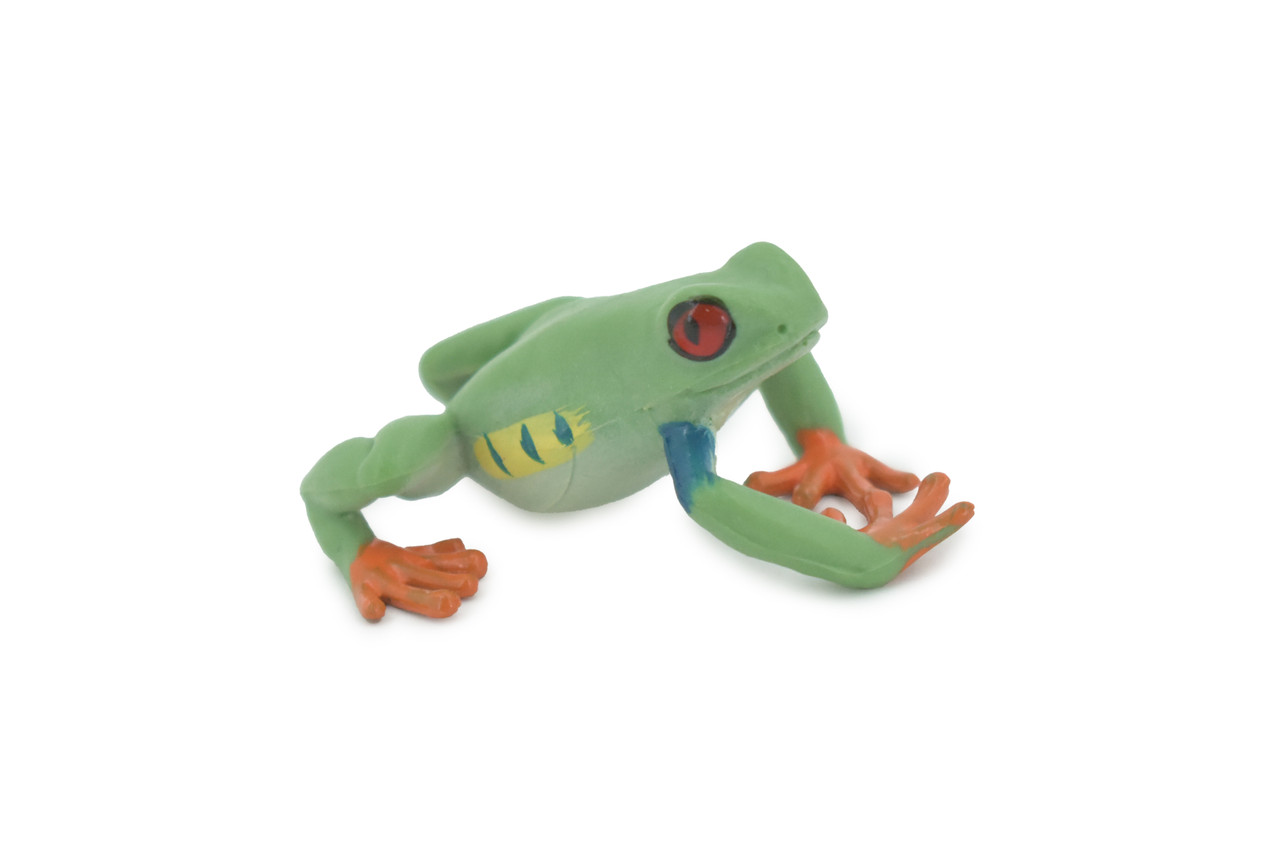 Frog, Red-eyed tree frog, Museum Quality, Hand Painted, Rubber, Amphibian, Realistic, Figure, Model, Replica, Toy, Kids, Educational, Gift,      2 1/2"    CH565 BB162