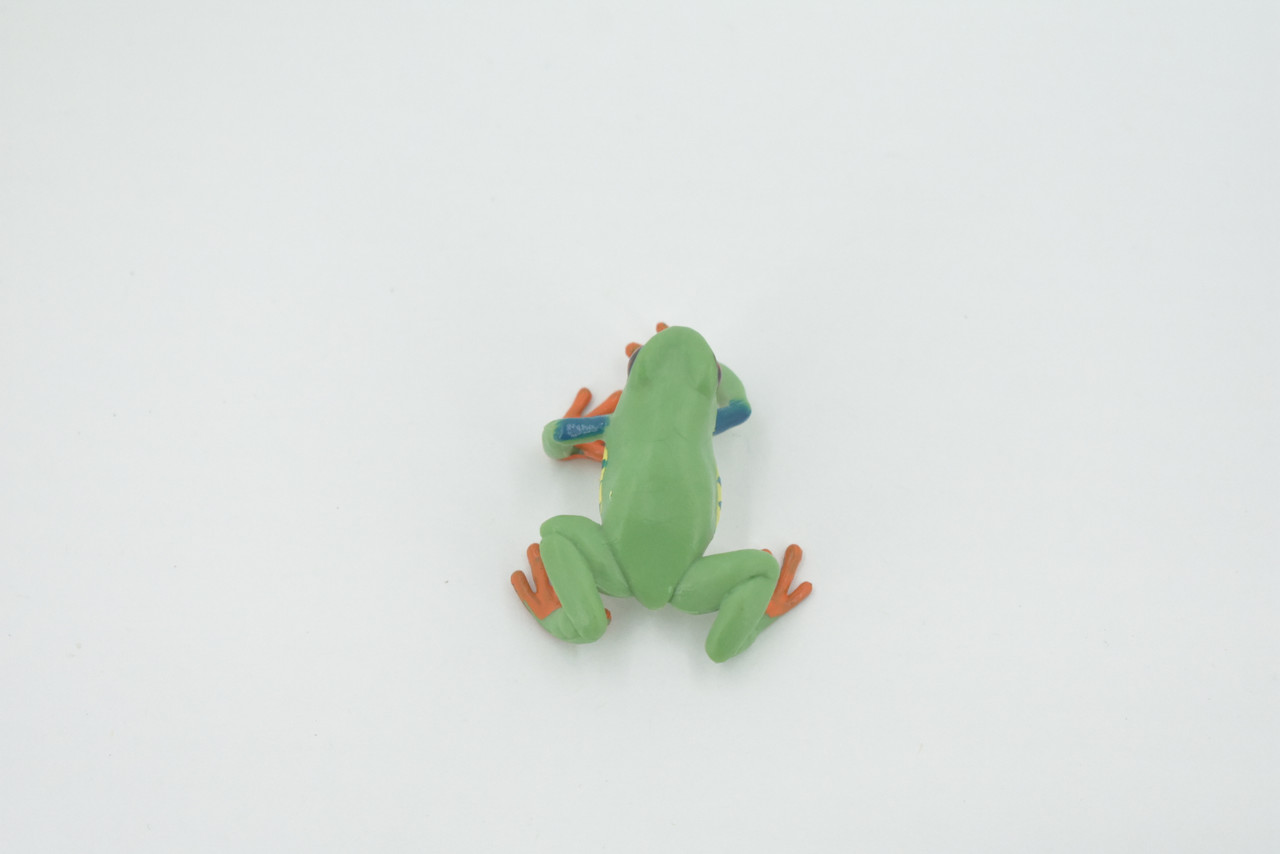 Frog, Red-eyed tree frog, Museum Quality, Hand Painted, Rubber, Amphibian, Realistic, Figure, Model, Replica, Toy, Kids, Educational, Gift,      2 1/2"    CH565 BB162