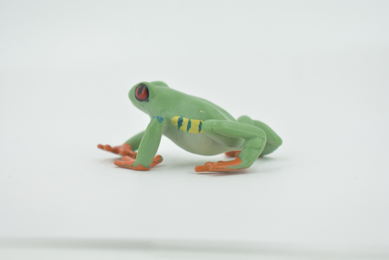 Frog, Red-eyed tree frog, Museum Quality, Hand Painted, Rubber, Amphibian, Realistic, Figure, Model, Replica, Toy, Kids, Educational, Gift,      2 1/2"    CH565 BB162