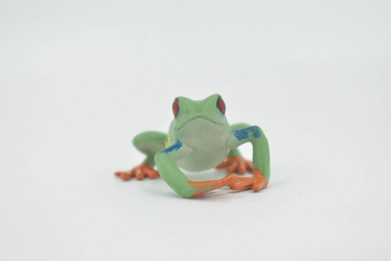 Frog, Red-eyed tree frog, Museum Quality, Hand Painted, Rubber, Amphibian, Realistic, Figure, Model, Replica, Toy, Kids, Educational, Gift,      2 1/2"    CH565 BB162