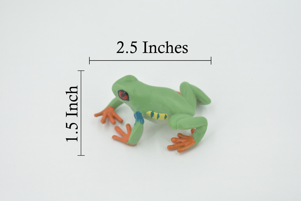 Frog, Red-eyed tree frog, Museum Quality, Hand Painted, Rubber, Amphibian, Realistic, Figure, Model, Replica, Toy, Kids, Educational, Gift,      2 1/2"    CH565 BB162