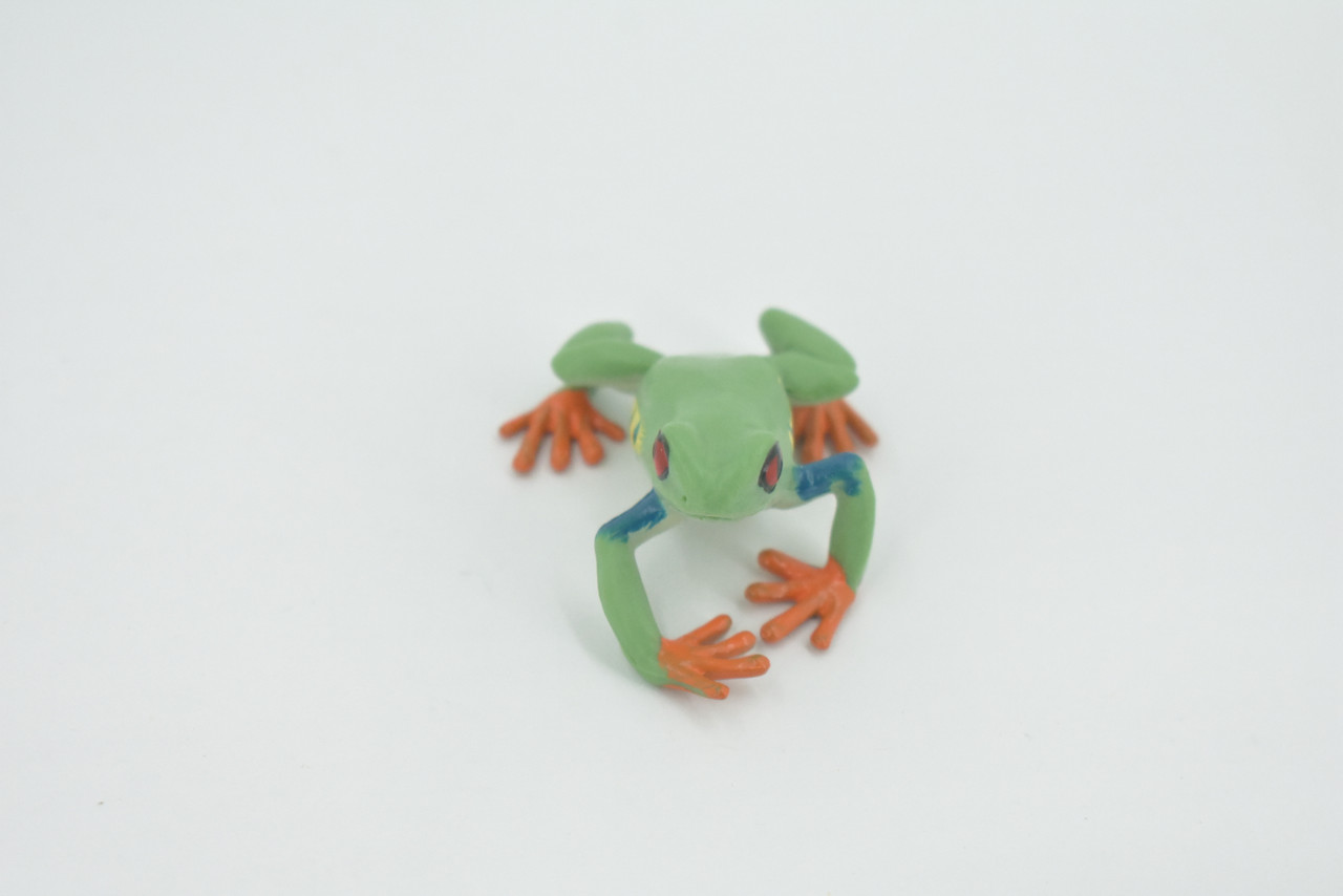 Frog, Red-eyed tree frog, Museum Quality, Hand Painted, Rubber, Amphibian, Realistic, Figure, Model, Replica, Toy, Kids, Educational, Gift,      2 1/2"    CH565 BB162