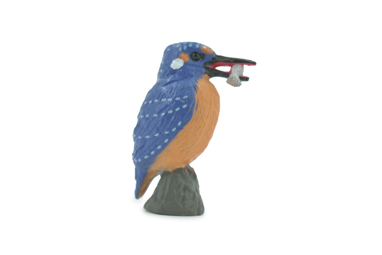 Bird, Kingfisher, Museum Quality, Hand Painted, Rubber, Alcedinidae, Realistic, Figure, Model, Replica, Toy, Kids, Educational, Gift,          2"       CH567 BB162