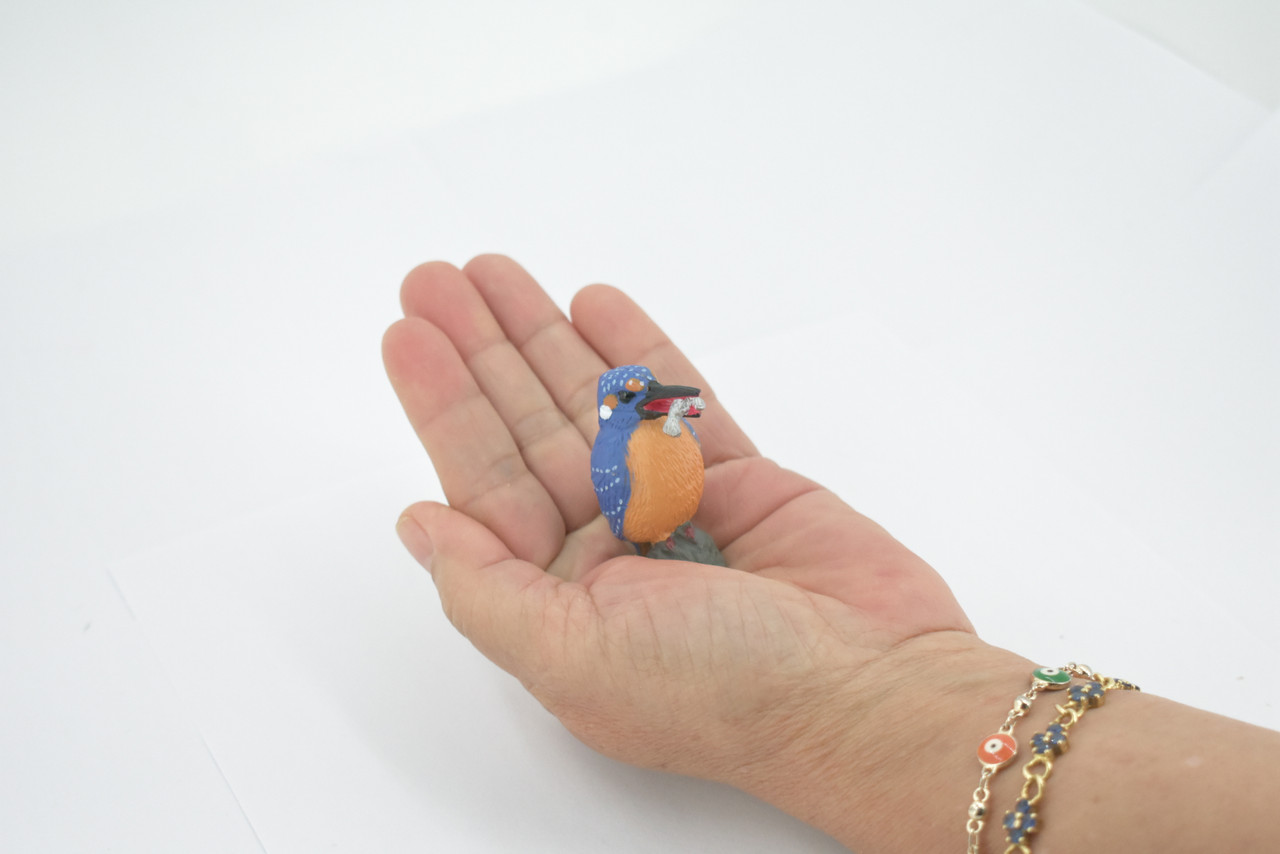 Bird, Kingfisher, Museum Quality, Hand Painted, Rubber, Alcedinidae, Realistic, Figure, Model, Replica, Toy, Kids, Educational, Gift,          2"       CH567 BB162