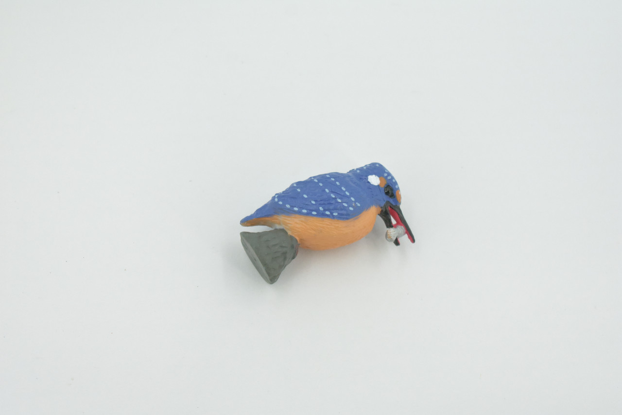 Bird, Kingfisher, Museum Quality, Hand Painted, Rubber, Alcedinidae, Realistic, Figure, Model, Replica, Toy, Kids, Educational, Gift,          2"       CH567 BB162