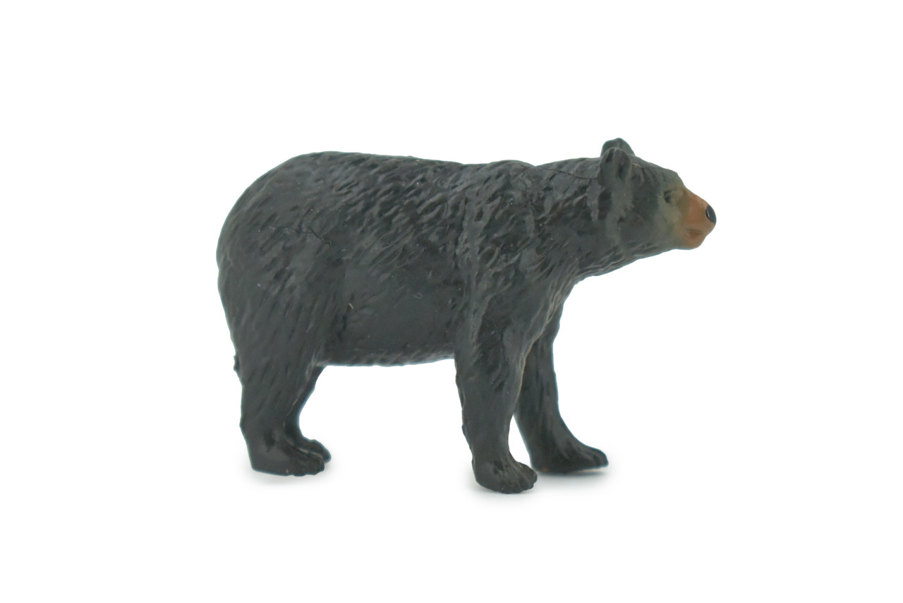 Bear, Black Bear, High Quality, Hand Painted, Rubber, Animal, Realistic, Figure, Model, Replica, Toy, Kids, Educational, Gift,        1 1/ 2"       CH568 BB162