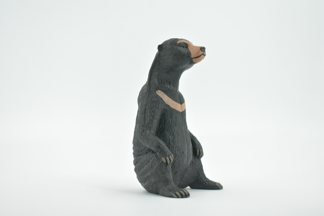 Bear, Sun Bear, High Quality, Hand Painted, Rubber, Asia, Animal, Realistic, Figure, Model, Replica, Toy, Kids, Educational, Gift,       3 1/ 2"       CH569 BB162