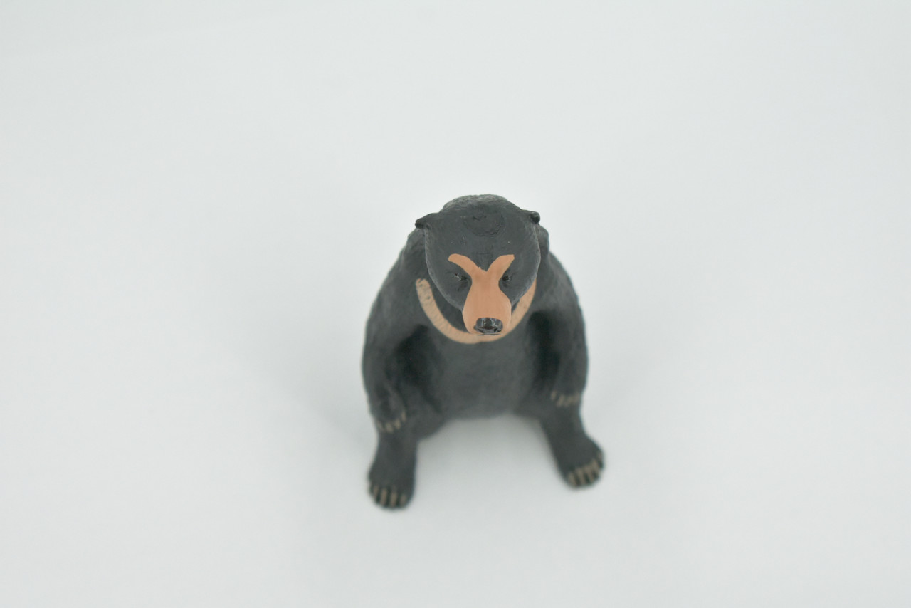 Bear, Sun Bear, High Quality, Hand Painted, Rubber, Asia, Animal, Realistic, Figure, Model, Replica, Toy, Kids, Educational, Gift,       3 1/ 2"       CH569 BB162