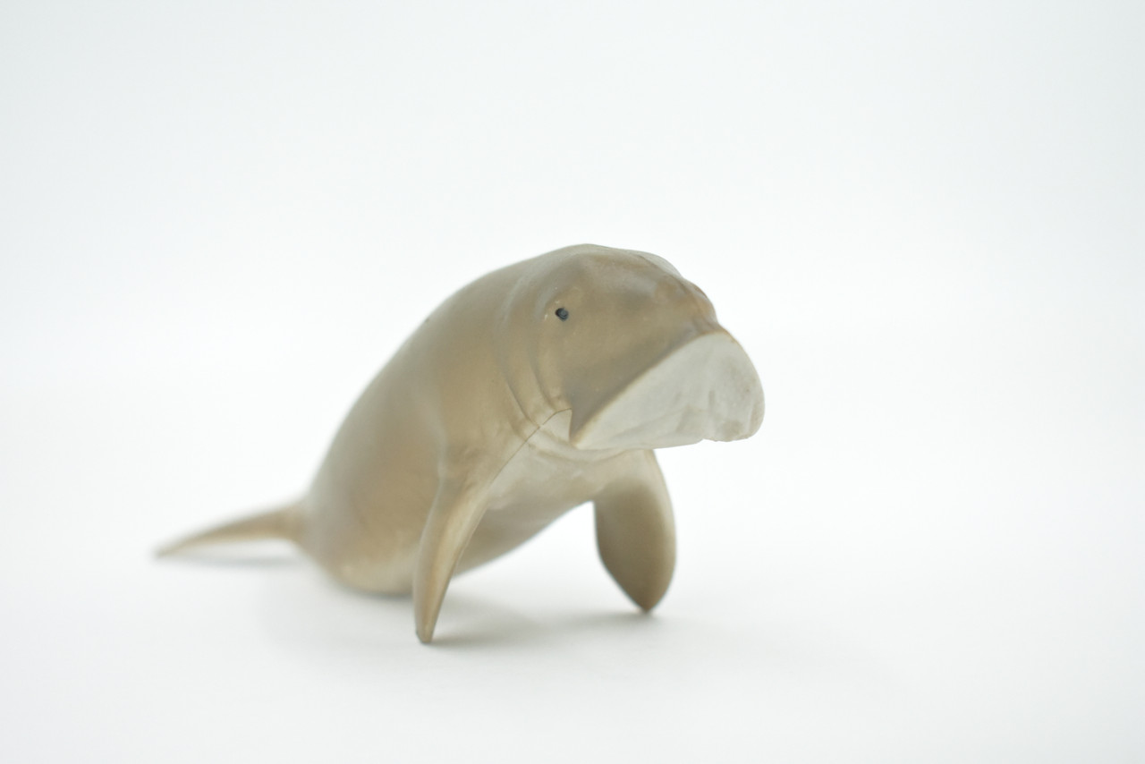 Dugongs, Manatee, Sea Cow, Museum Quality, Rubber, Educational, Realistic, Hand Painted, Figure, Lifelike, Toy, Kids, Replica, Gift,    6"     CH572 BB162