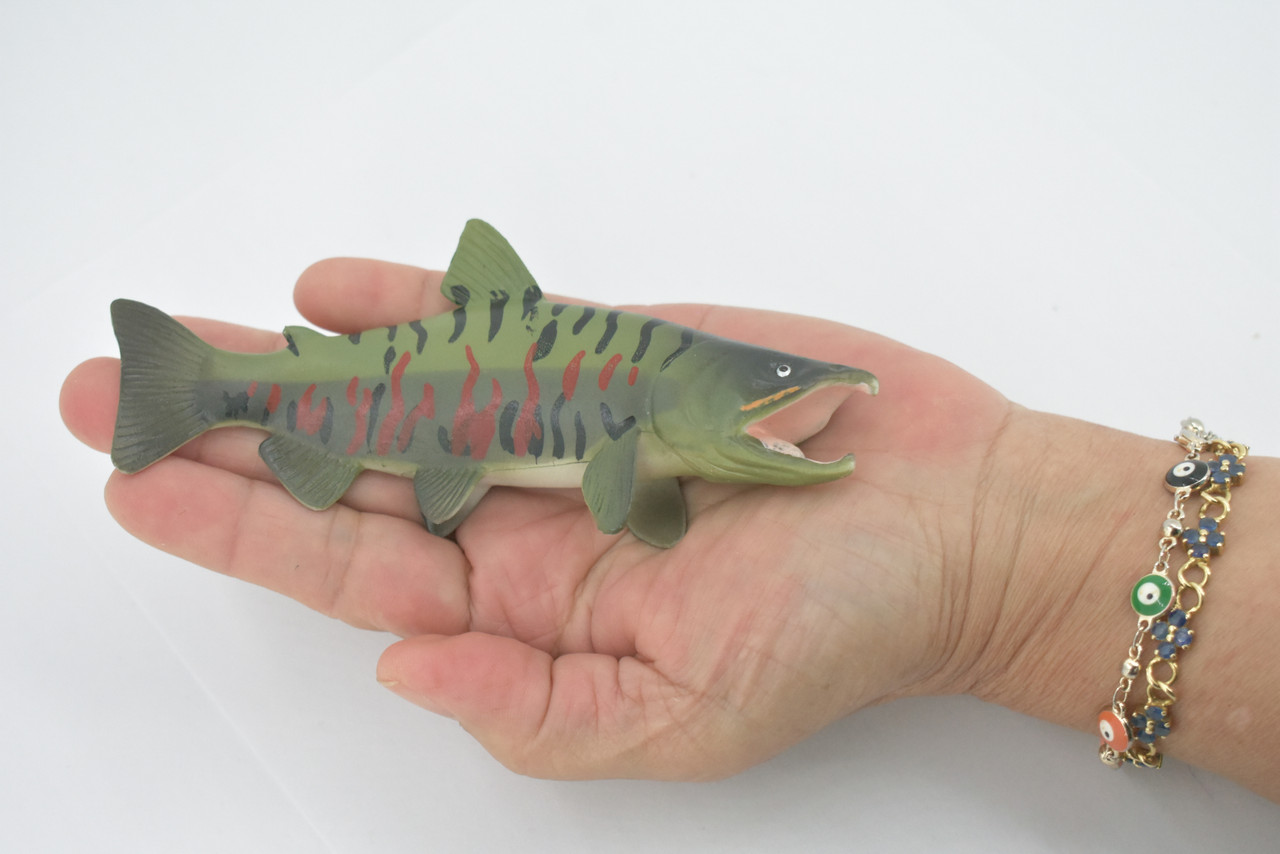 Chum Salmon, Spawning, Museum Quality, Rubber Fish, Educational, Realistic, Hand Painted, Figure, Lifelike, Toy, Kids, Replica, Gift,      5 1/2"