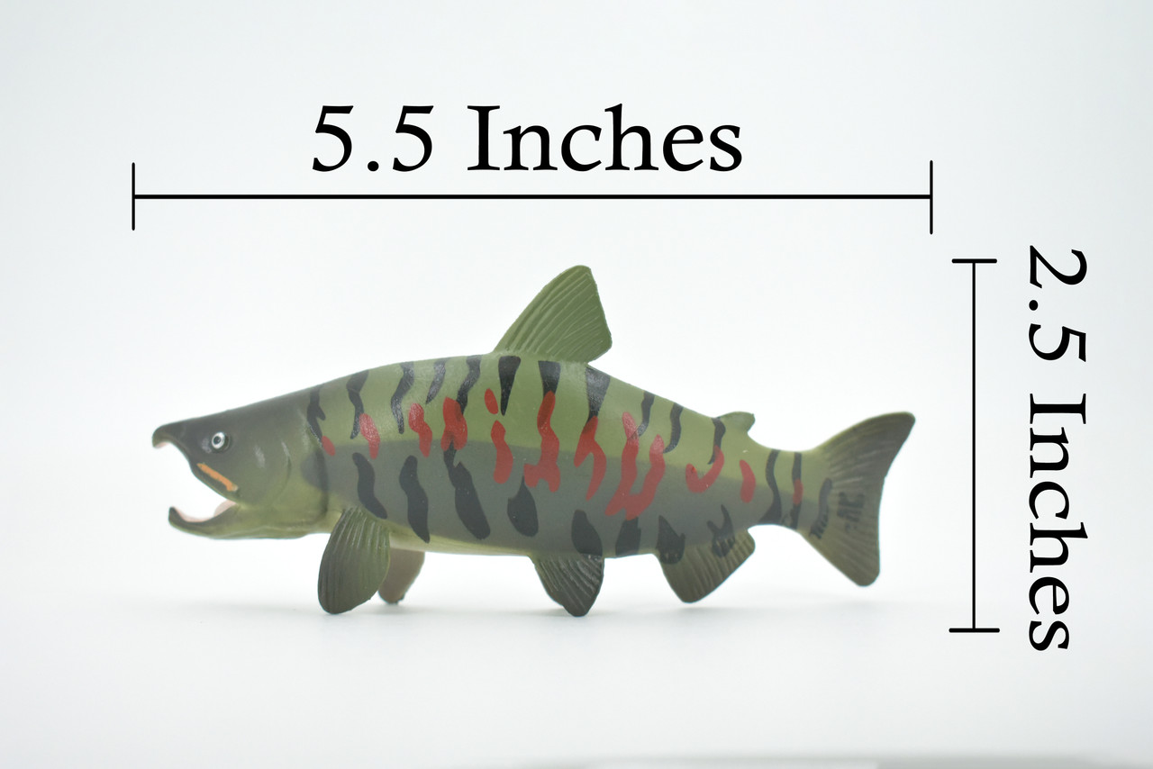 Chum Salmon, Spawning, Museum Quality, Rubber Fish, Educational, Realistic, Hand Painted, Figure, Lifelike, Toy, Kids, Replica, Gift,      5 1/2"