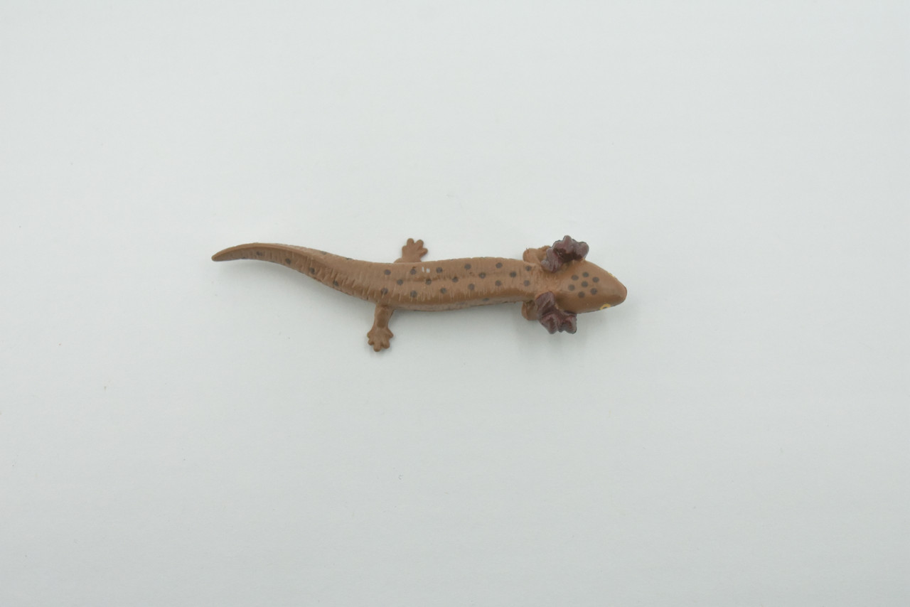 Salamander, Red River Waterdog, Mudpuppy, Museum Quality, Hand Painted, Rubber Amphibian, Realistic Figure, Toy, Kids, Educational, Gift,   3 1/4"    CH576 BB163 