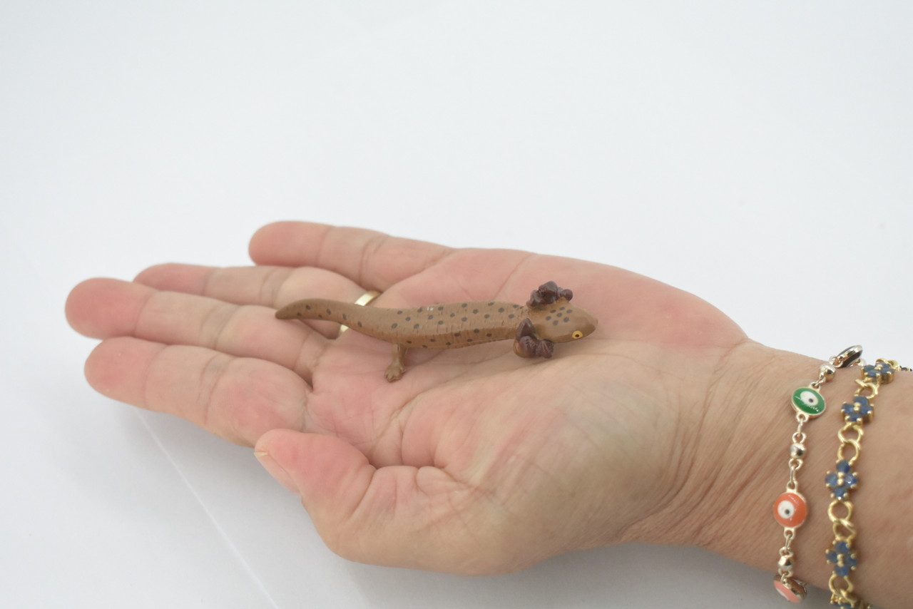 Salamander, Red River Waterdog, Mudpuppy, Museum Quality, Hand Painted, Rubber Amphibian, Realistic Figure, Toy, Kids, Educational, Gift,   3 1/4"    CH576 BB163 