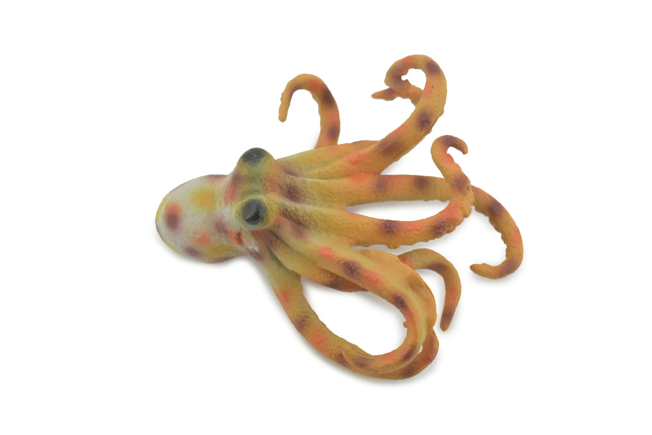 Octopus, Octopodes, Octopoda, Octopi, Museum Quality, Hand Painted, Rubber, Realistic Figure, Toy, Kids, Educational, Gift,      4 1/2"    CH577 BB163