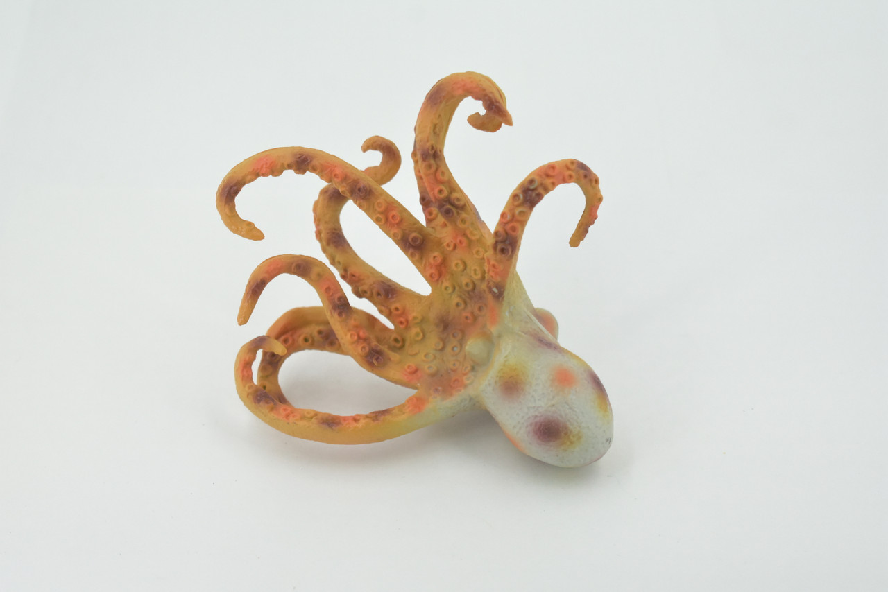 Octopus, Octopodes, Octopoda, Octopi, Museum Quality, Hand Painted, Rubber, Realistic Figure, Toy, Kids, Educational, Gift,      4 1/2"    CH577 BB163