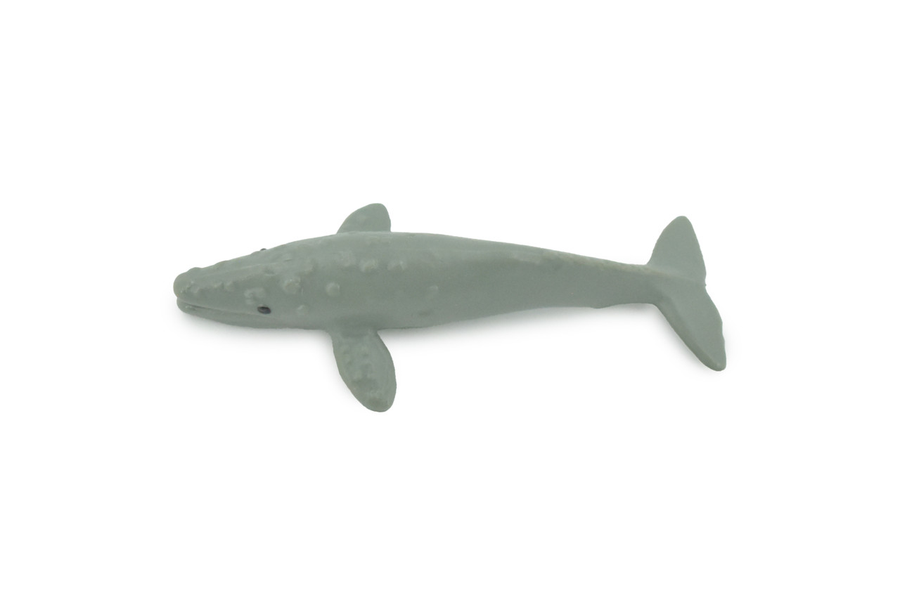 Gray Whale, High Quality, Hand Painted, Rubber Cetaceans, Realistic, Lifelike, Figure, Toy, Kids, Educational, Gift,      3"    CH579 BB163