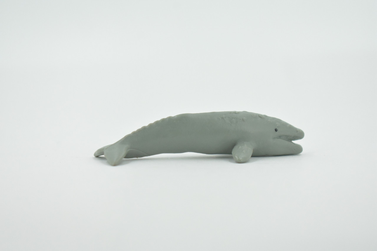 Gray Whale, High Quality, Hand Painted, Rubber Cetaceans, Realistic, Lifelike, Figure, Toy, Kids, Educational, Gift,      3"    CH579 BB163